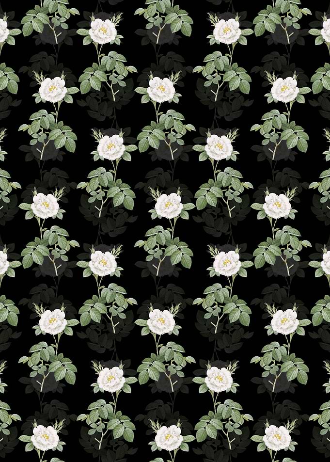 Floral White Rose Pattern