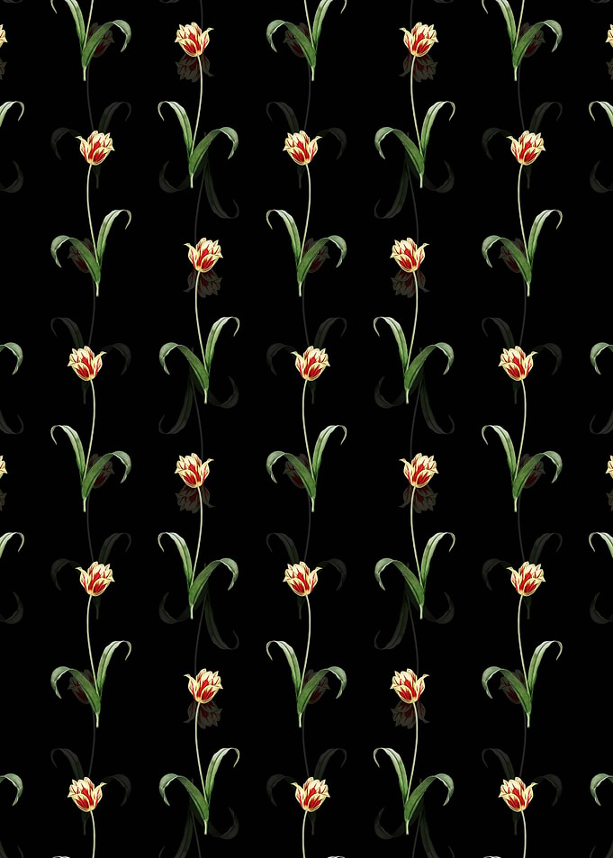 Didiers Tulip Pattern