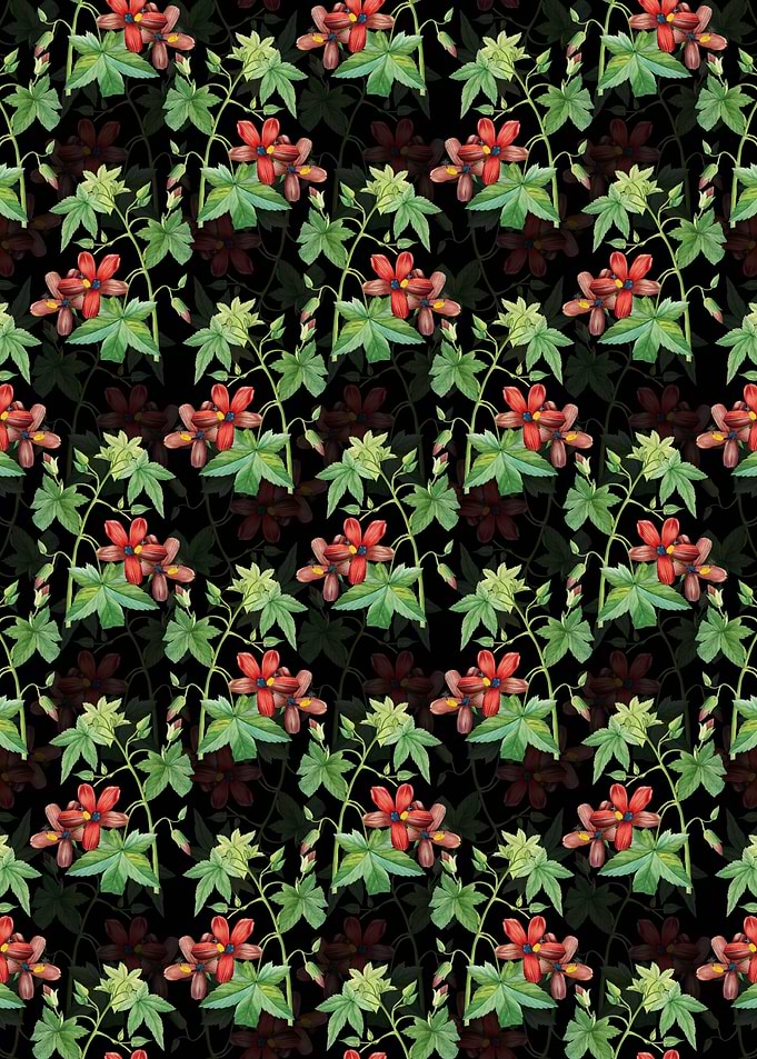 Lavatera Phoenicea Pattern
