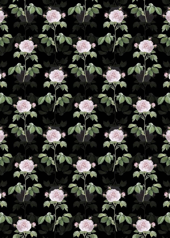 Floral Rosa Alba Pattern