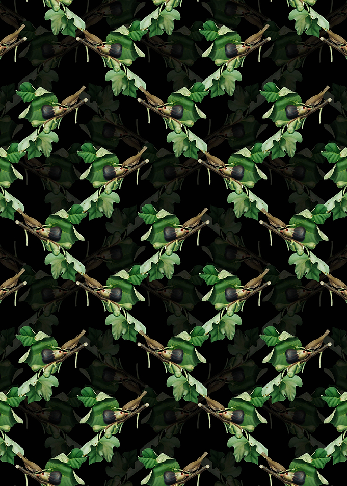 Black Fig Branch with Bird