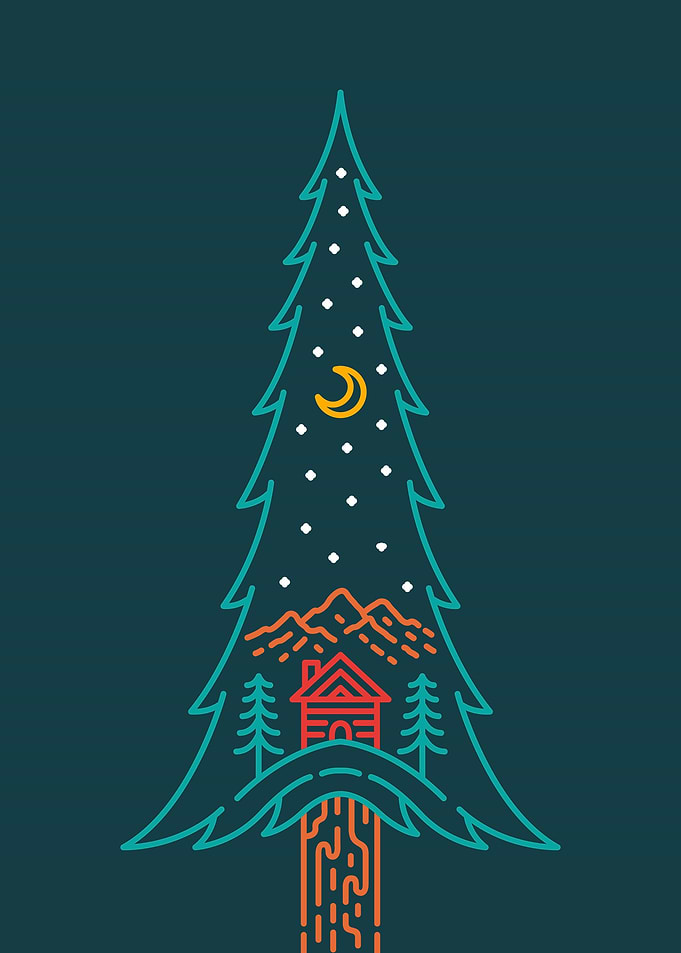 Overnight in The Pine Fore