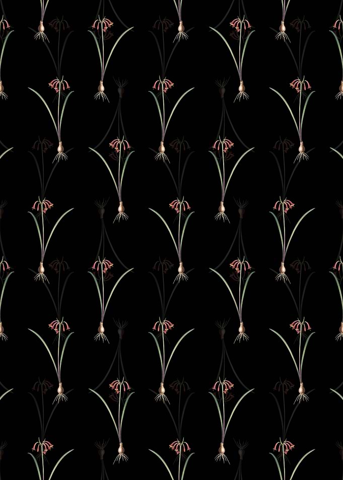 Floral Brandlelie Pattern
