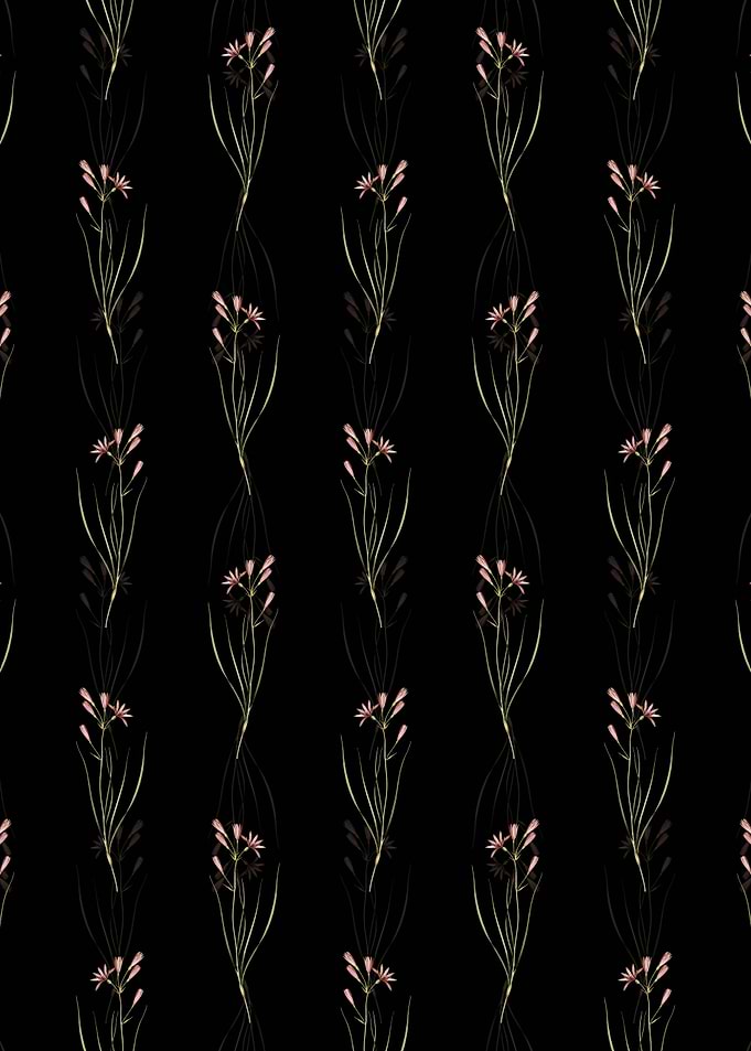 Amaryllis Montana Pattern