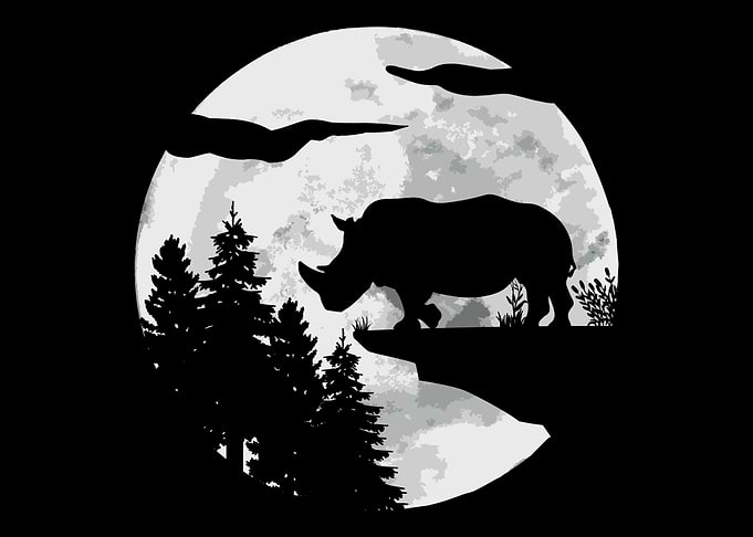 Rhino Rhinoceros