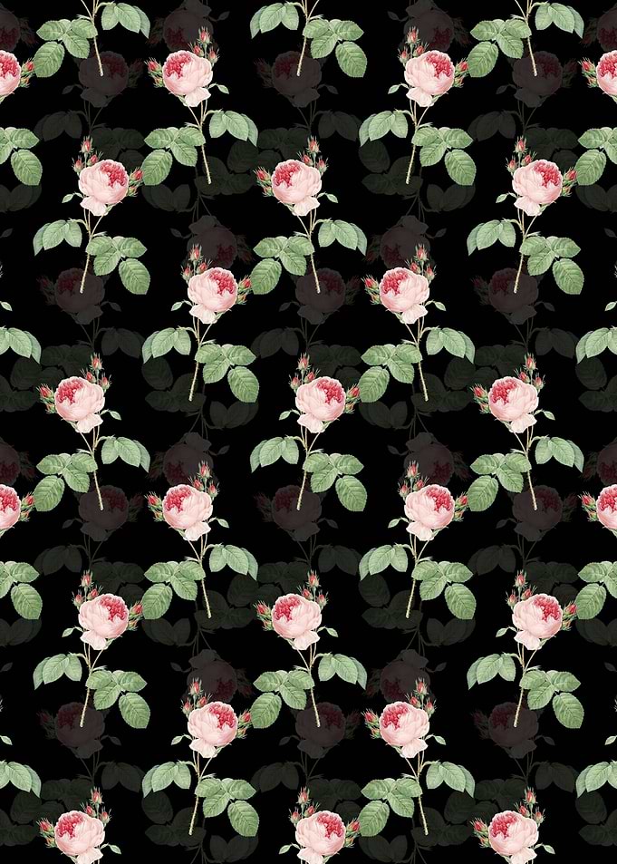 Pink Cabbage Rose Pattern