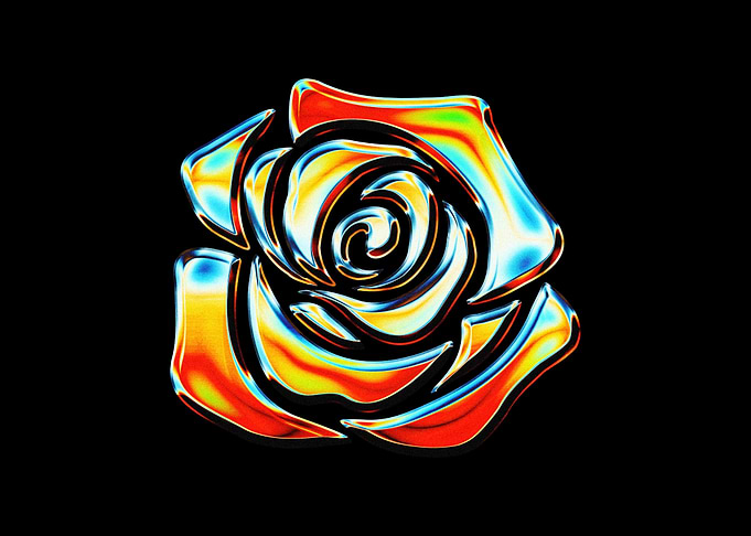 Chrome Rose