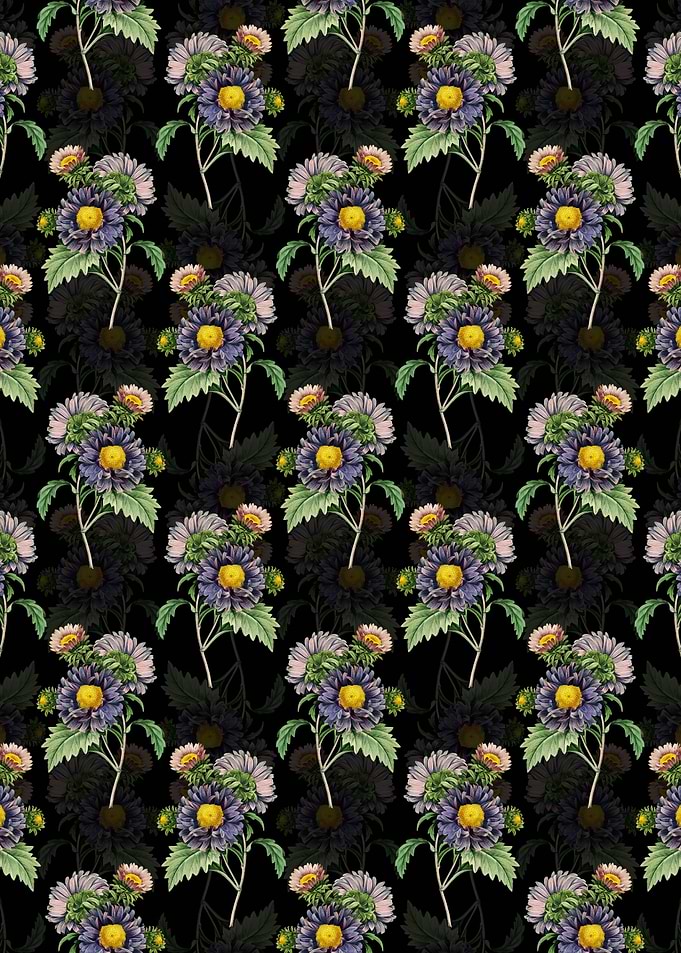 Floral China Aster Pattern