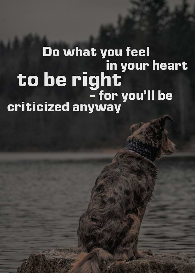 Do what you feel in your
