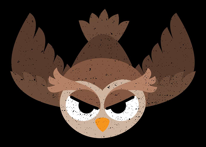 Flying Owl