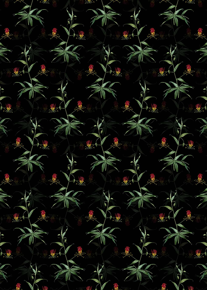 Floral Flame Lily Pattern