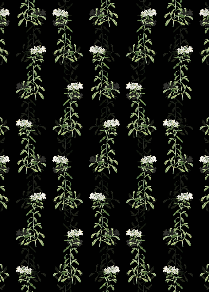 Floral Small White Pattern