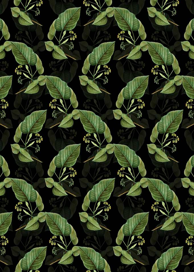 Linden Tree Branch Pattern