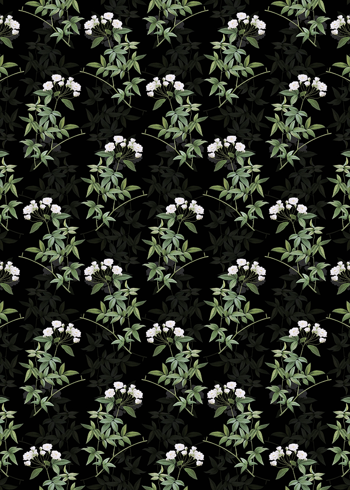 Lady Banks Rose Pattern