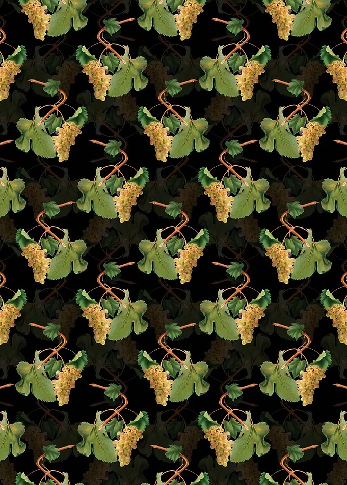 Vermentino Grapes Pattern