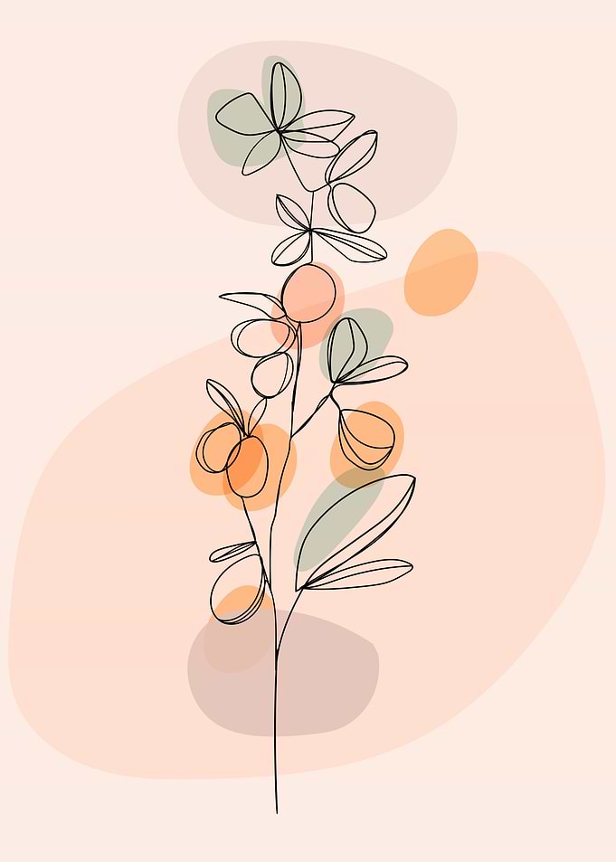 Spring flower line drawing