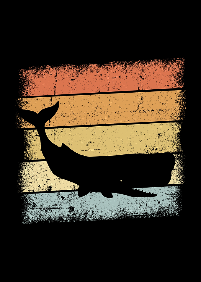 Whale Retro Design