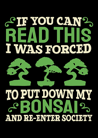 Bonsai Tree Japanese