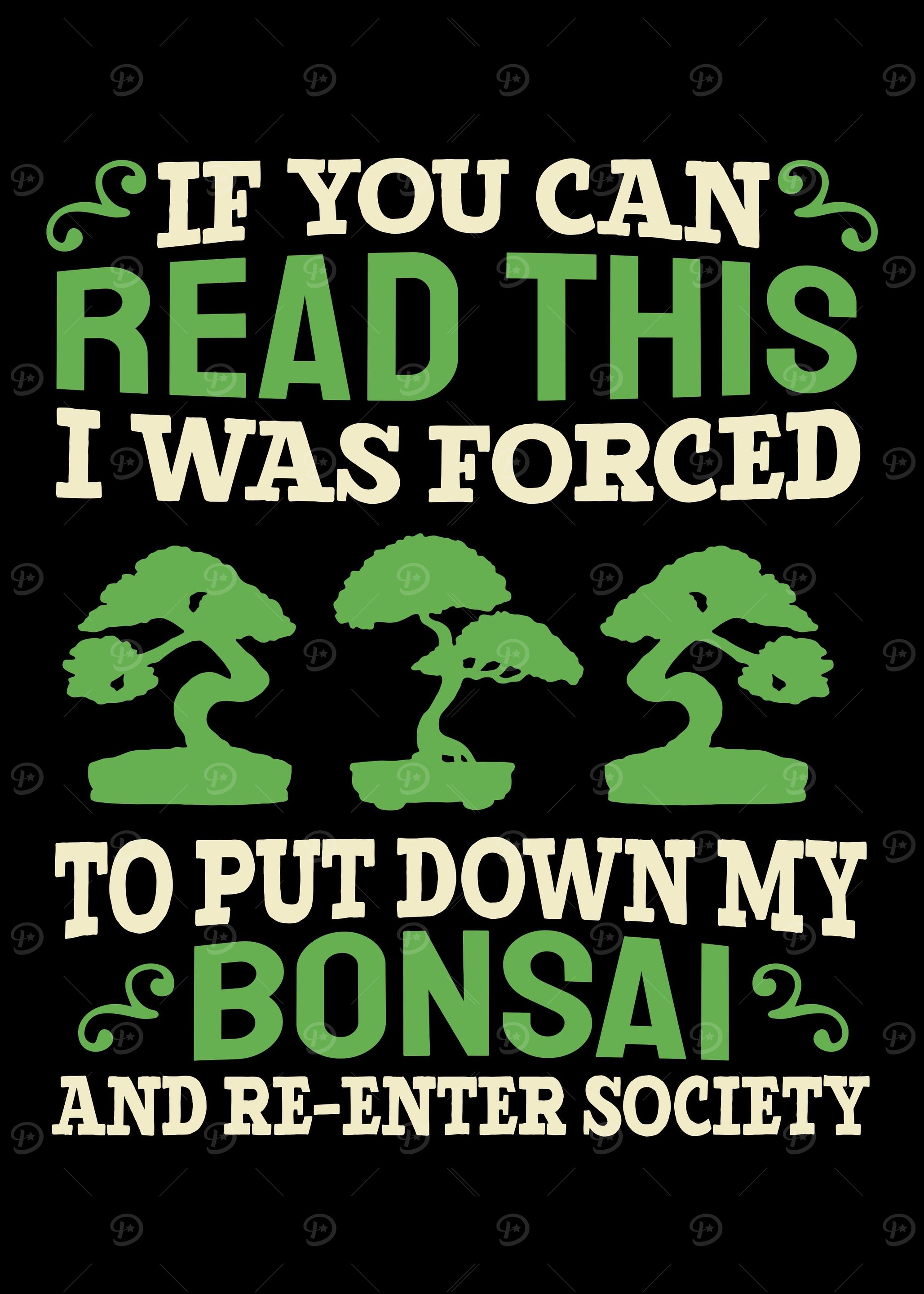 Bonsai Tree Japanese