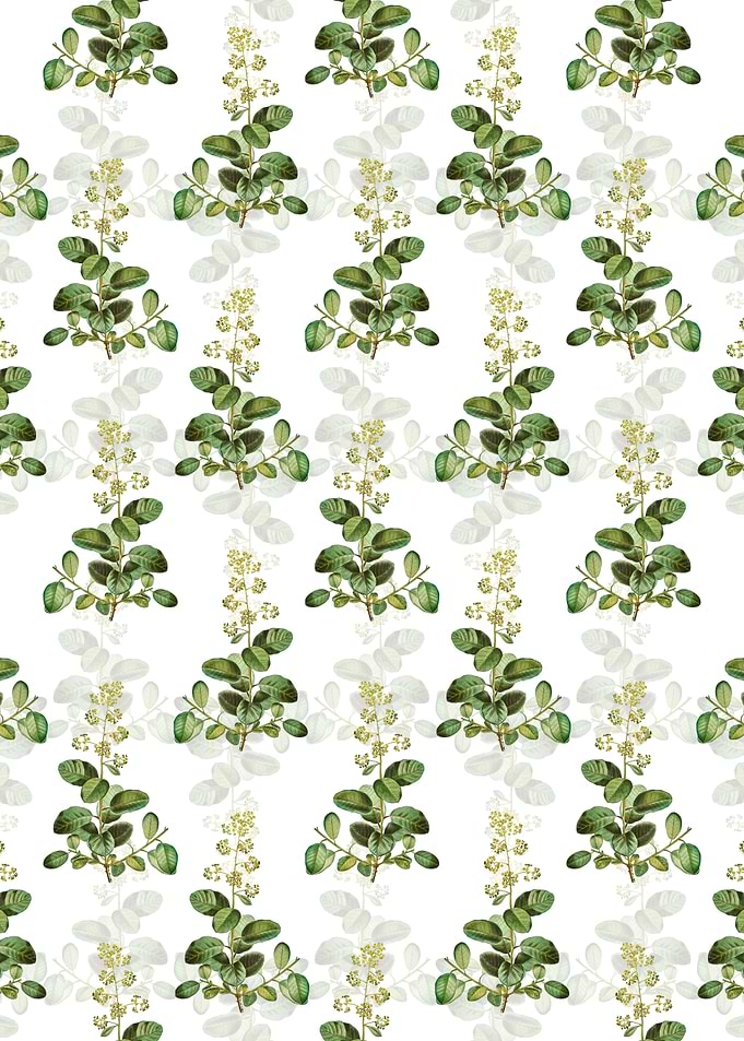 European Smoketree Pattern