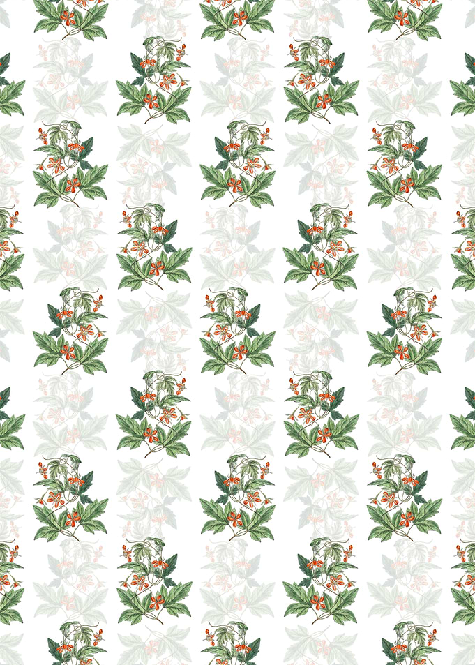 Red Loasa Flower Pattern