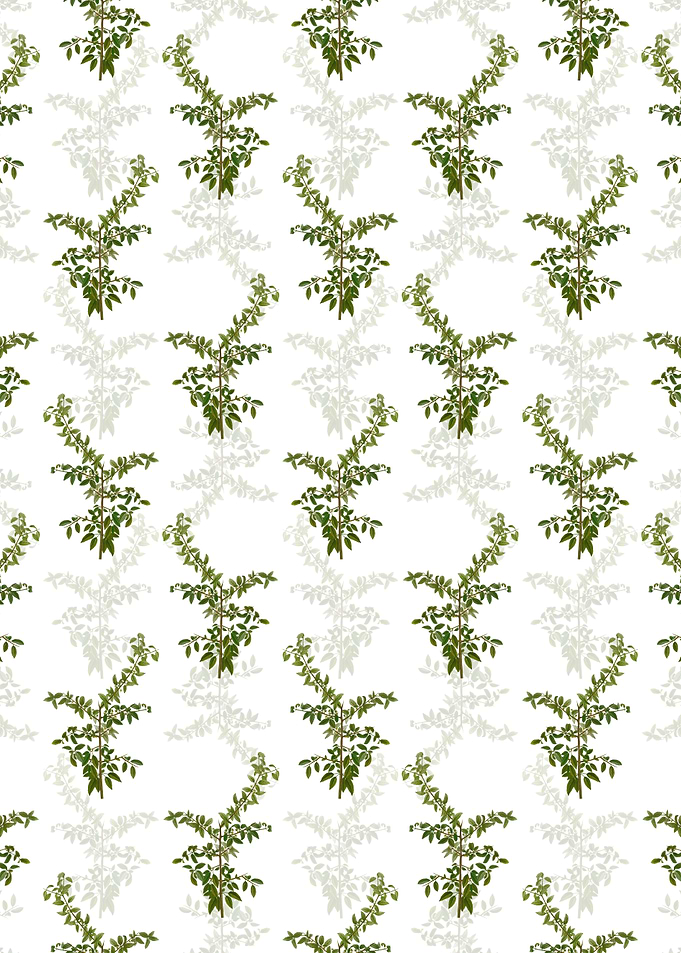 Rock Buckthorn Pattern