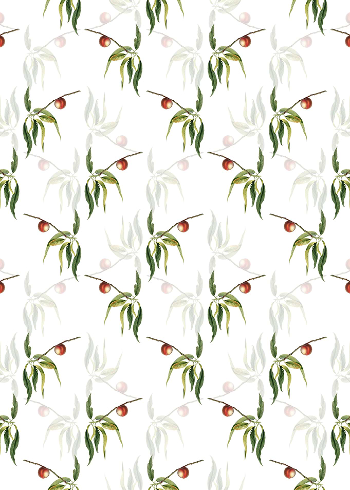 White Floral Peach Pattern