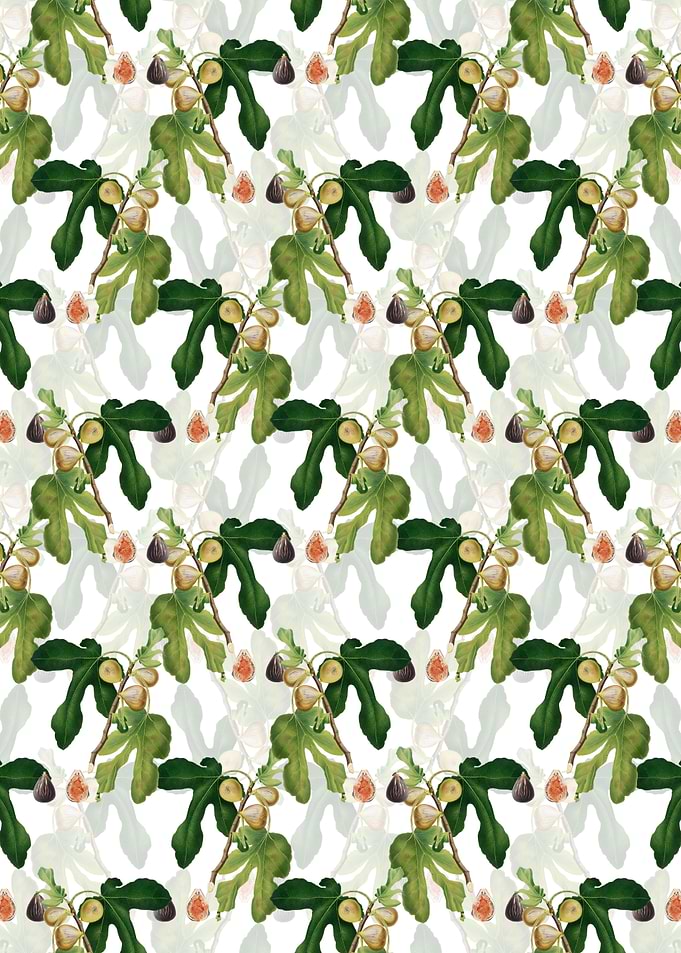 White Floral Figs Pattern