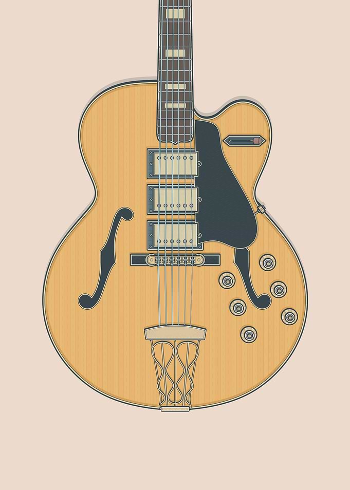 Switchmaster Guitar