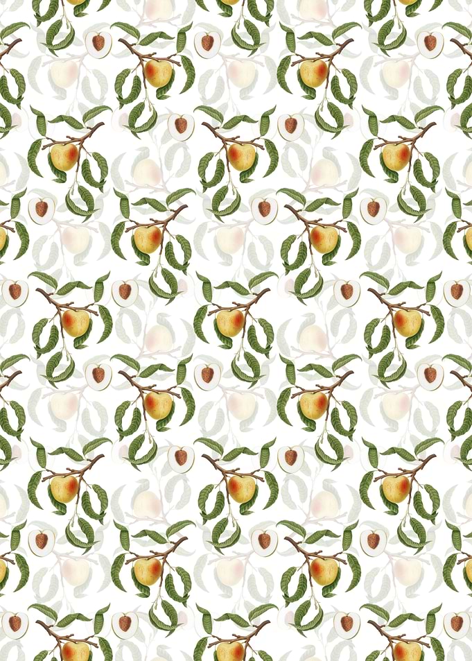 White Floral Peach Pattern