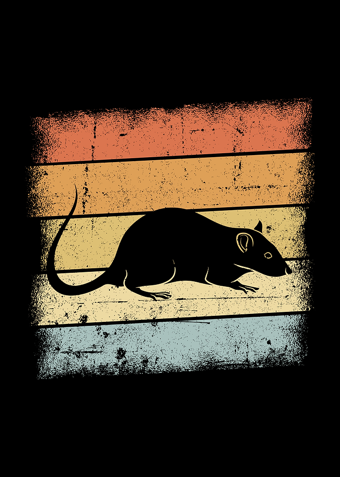 Rat Design