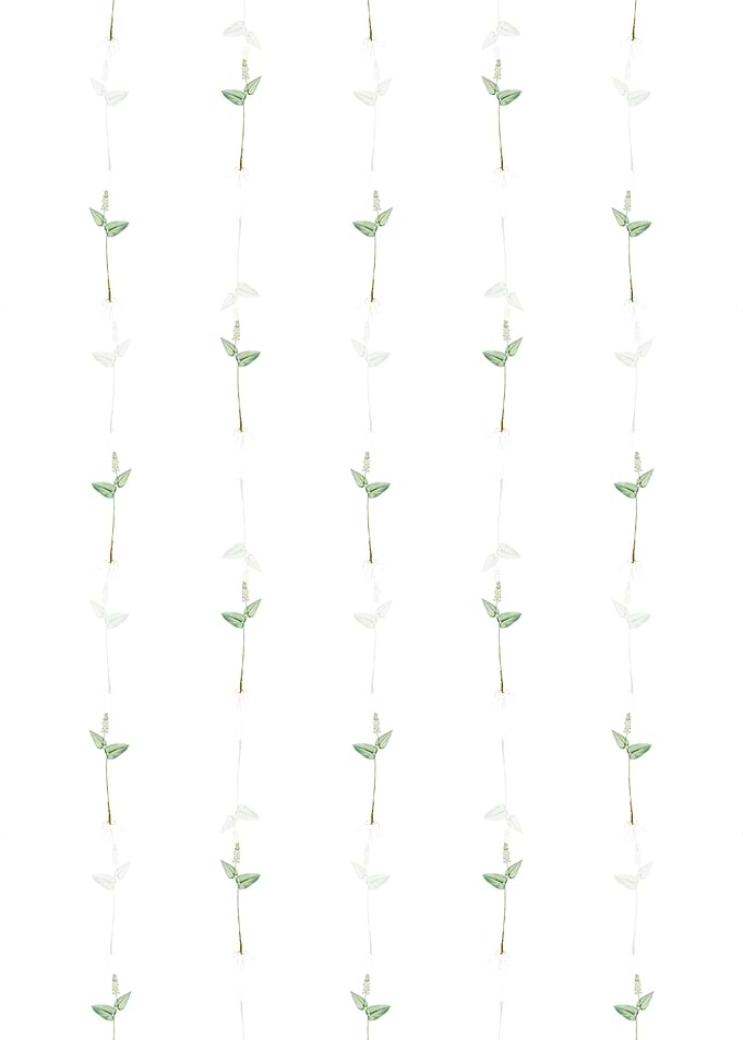Floral Mayanthemum Pattern