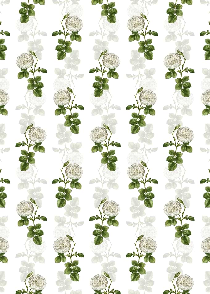 White Rose of York Pattern
