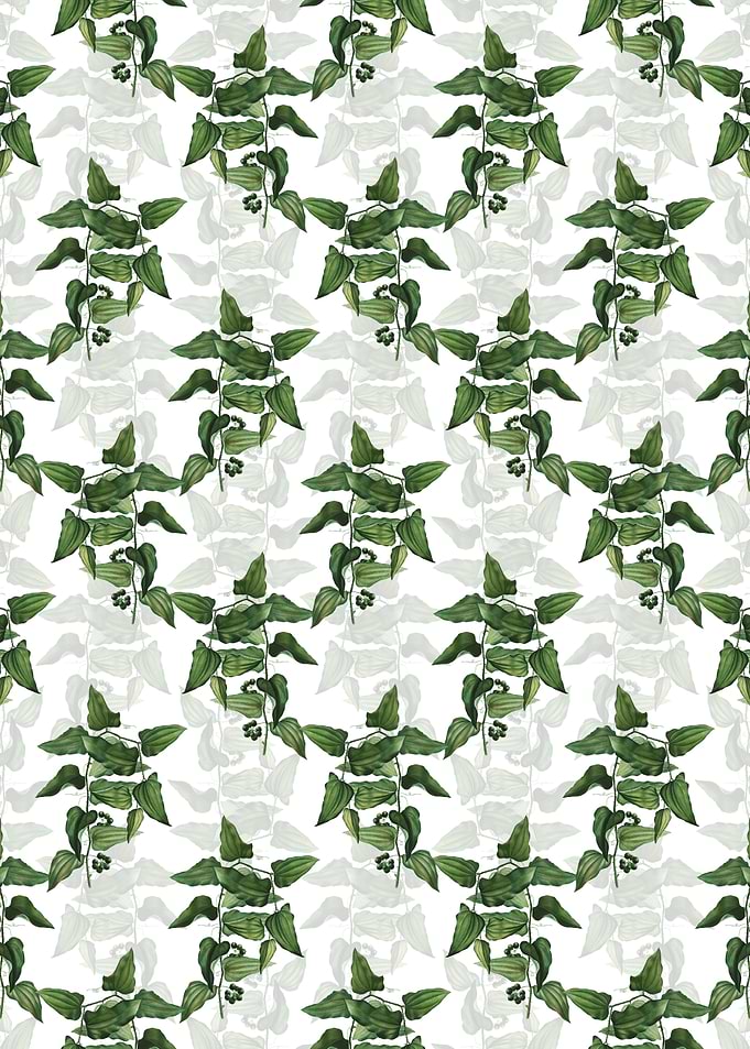 Common Smilax Pattern