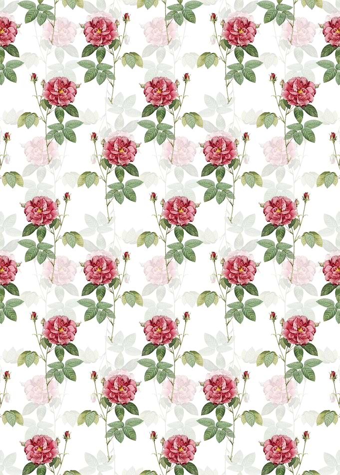 Floral French Rose Pattern