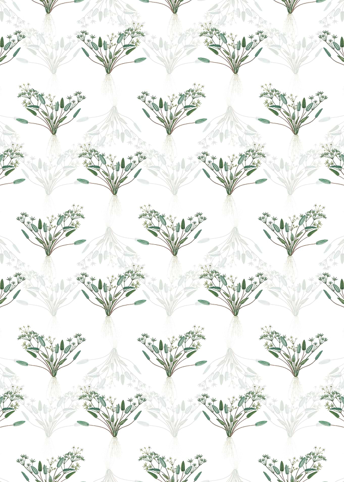 Floral Starfruit Pattern