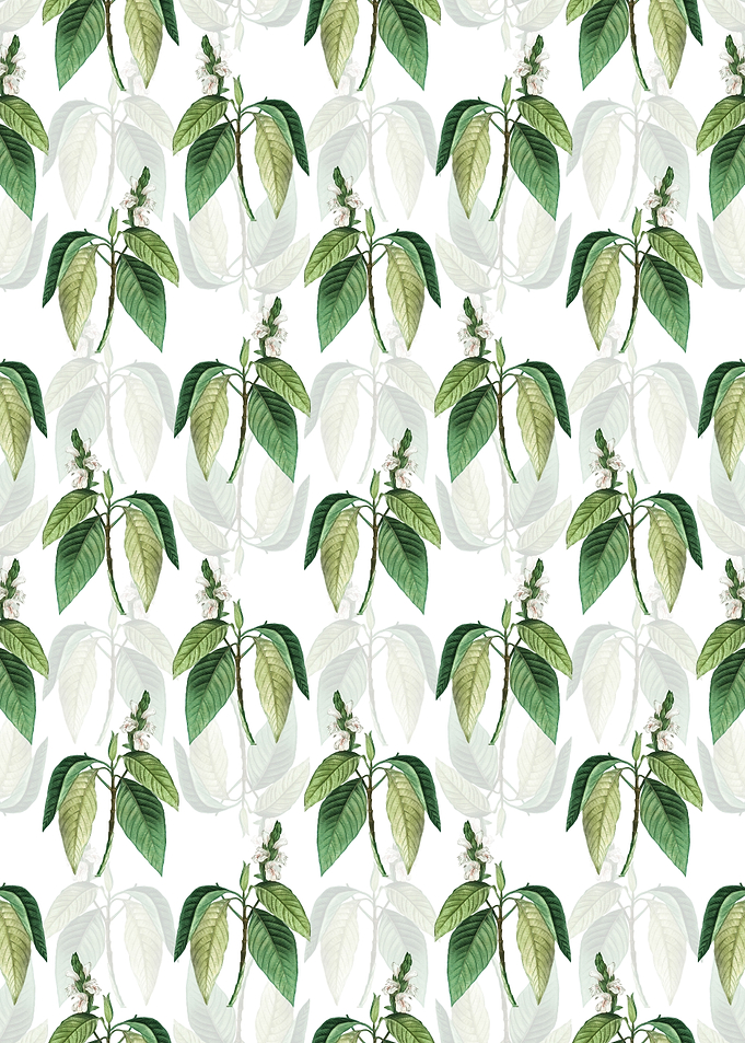 Floral Malabar Nut Pattern
