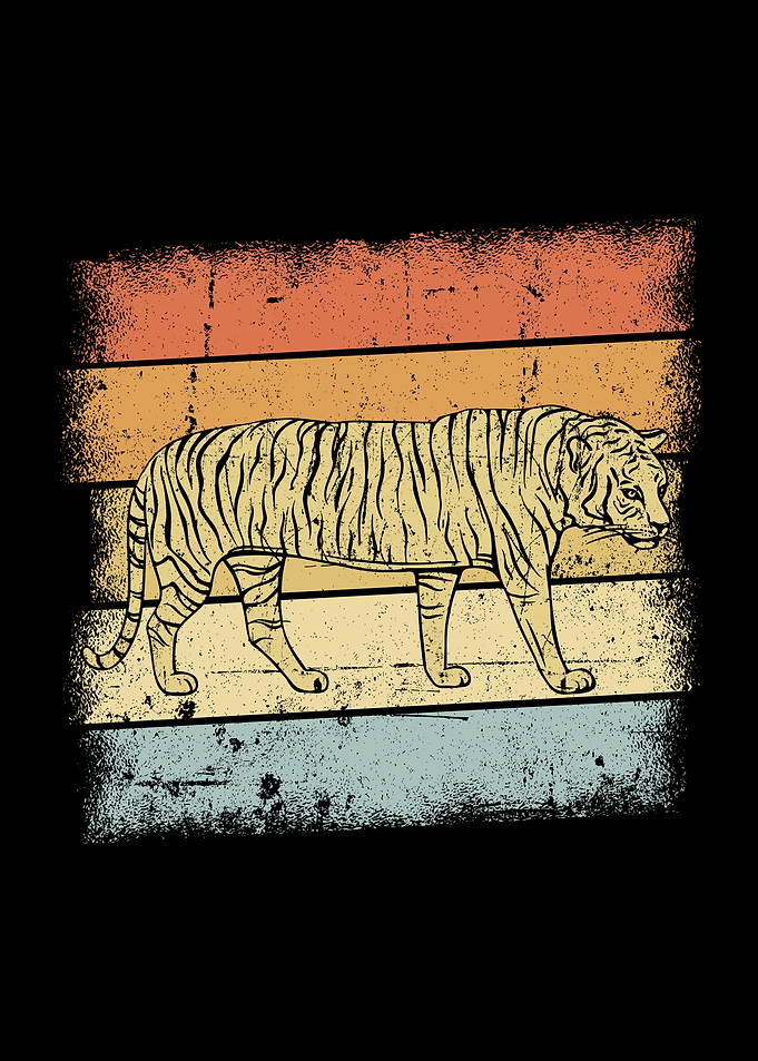 Tiger Sunset