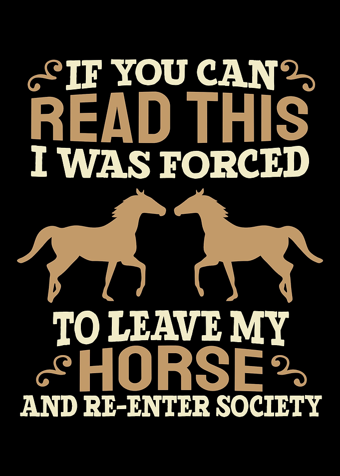 Horse Riding Horseback