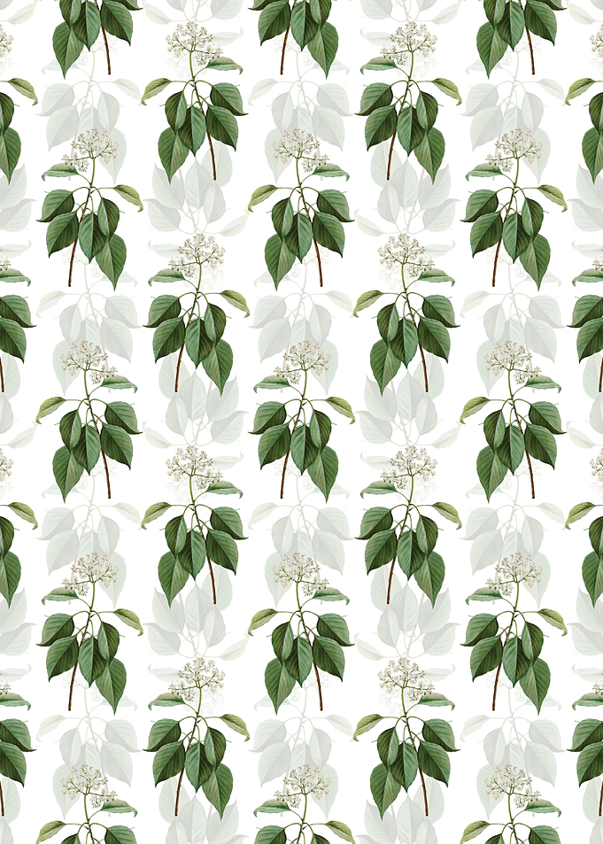 Pagoda Dogwood Pattern