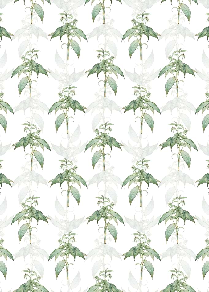 Commelina Zanonia Pattern