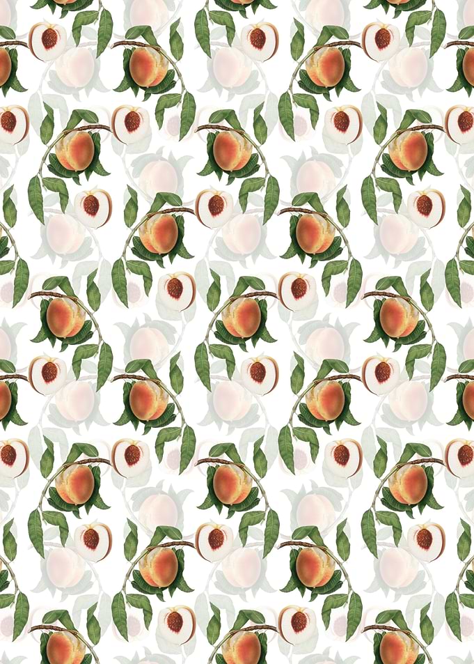 White Floral Peach Pattern