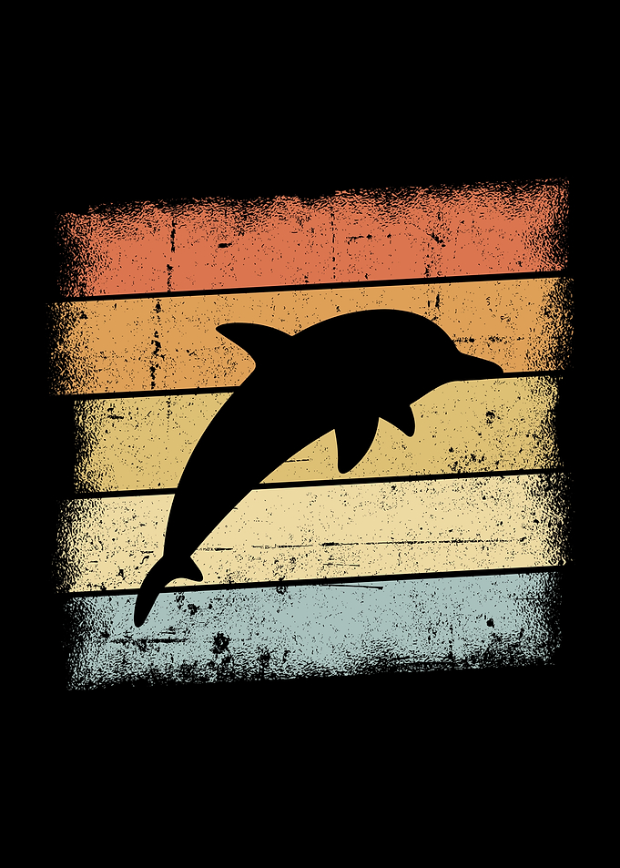Dolphin Gift