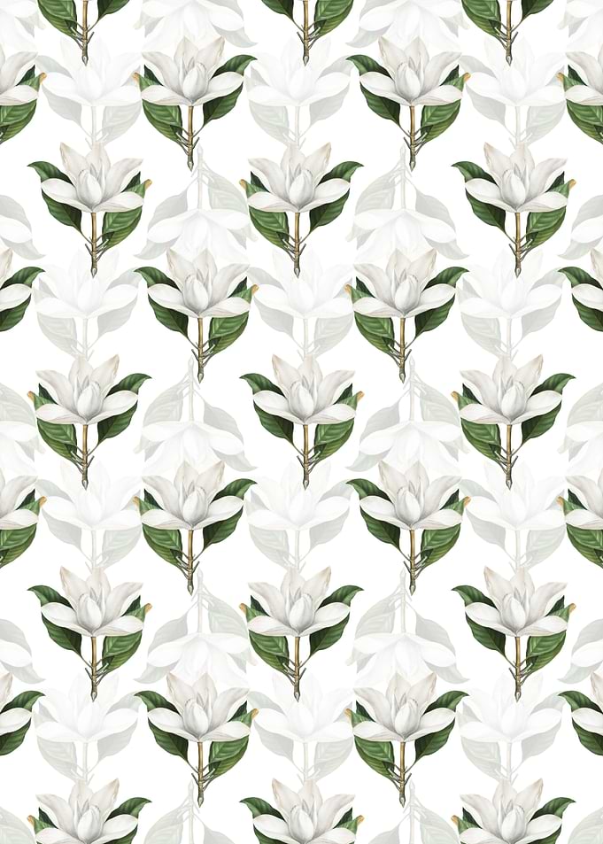 White Southern Magnolia