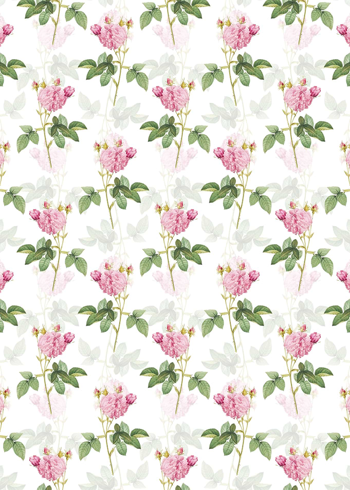 Pink Agatha Rose Pattern
