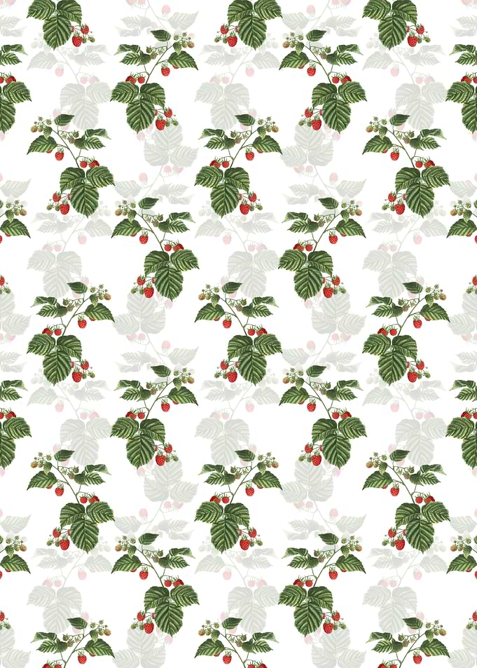 Floral Raspberry Pattern