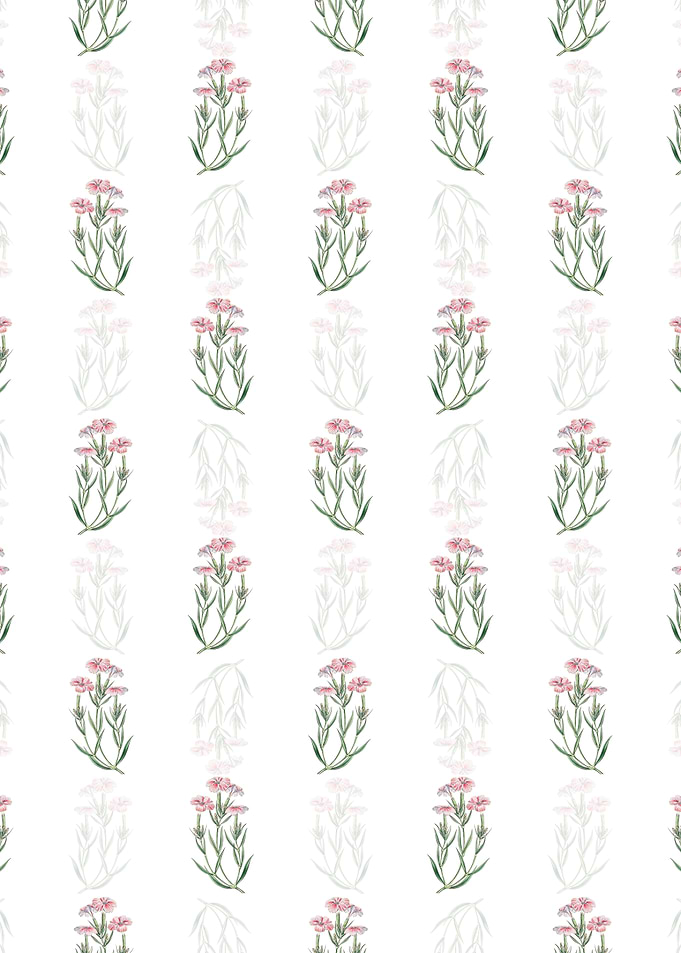 White Bisignanos Tree Pink