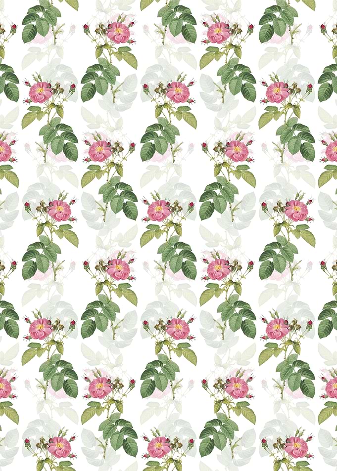 Harsh Downy Rose Pattern