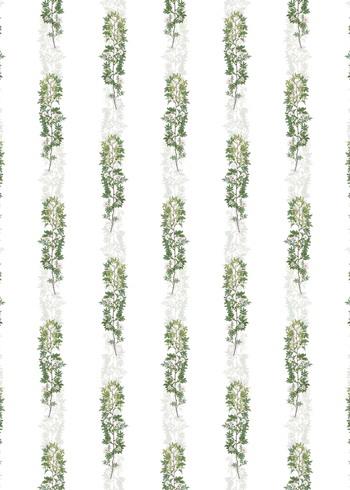 Cuspidate Rose Pattern