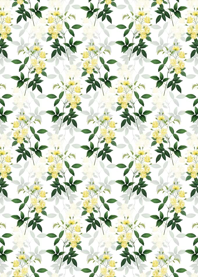 Lady Banks Rose Pattern